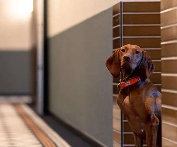 Ocean House Scheveningen Aparthotel Den Haag