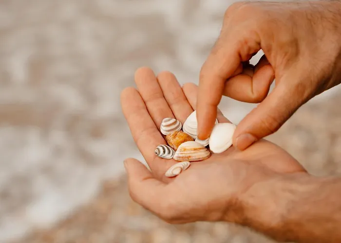 Aparthotel Ocean House Scheveningen Den Haag