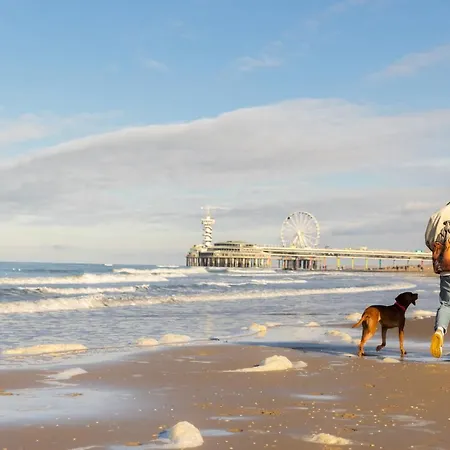 Ocean House Scheveningen Χάγη