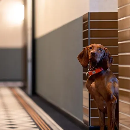 Ocean House Scheveningen Ξενοδοχείο με διαμερίσματα Χάγη