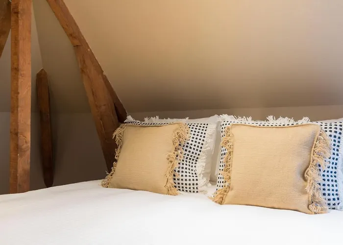 Ocean House Scheveningen Ξενοδοχείο με διαμερίσματα 4*