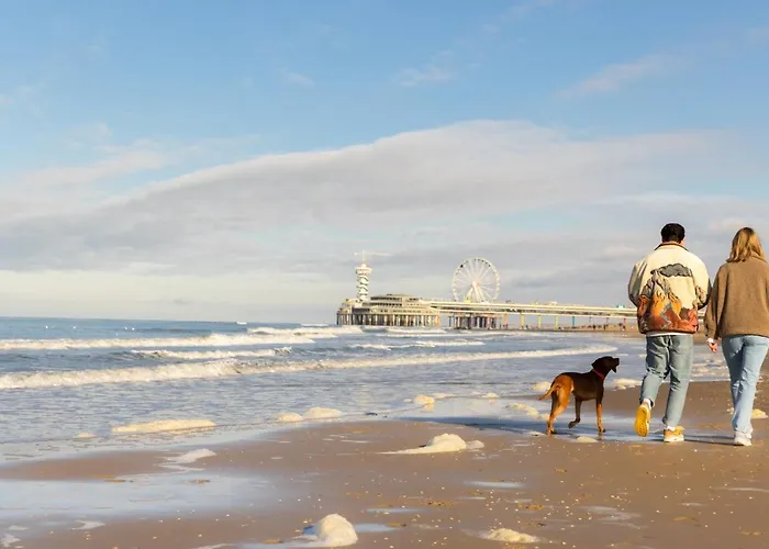 Ocean House Scheveningen L'Aia
