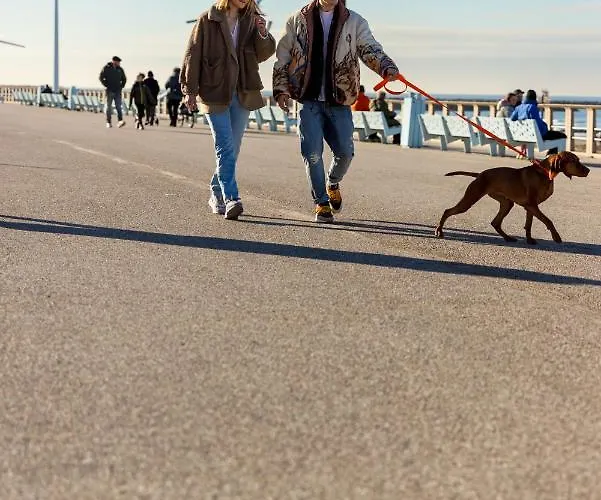 شقة فندقية Ocean House Scheveningen