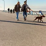 Ξενοδοχείο με διαμερίσματα Ocean House Scheveningen